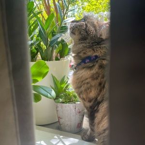 Meet your Posher, Marly